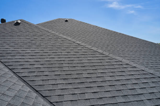 Best Roof Moss and Algae Removal  in Star City, WV